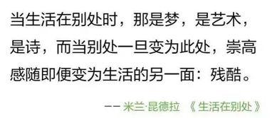 娱乐吃瓜解说文案短句搞笑,笑到肚子疼的幕后故事  第2张