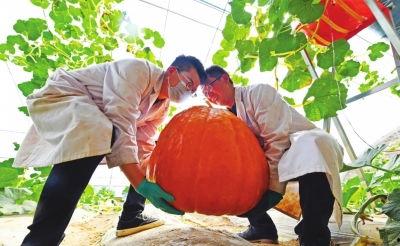 新瓜最新爆料兰州,揭秘城市背后的故事与秘密 第3张 新瓜最新爆料兰州,揭秘城市背后的故事与秘密 第3张